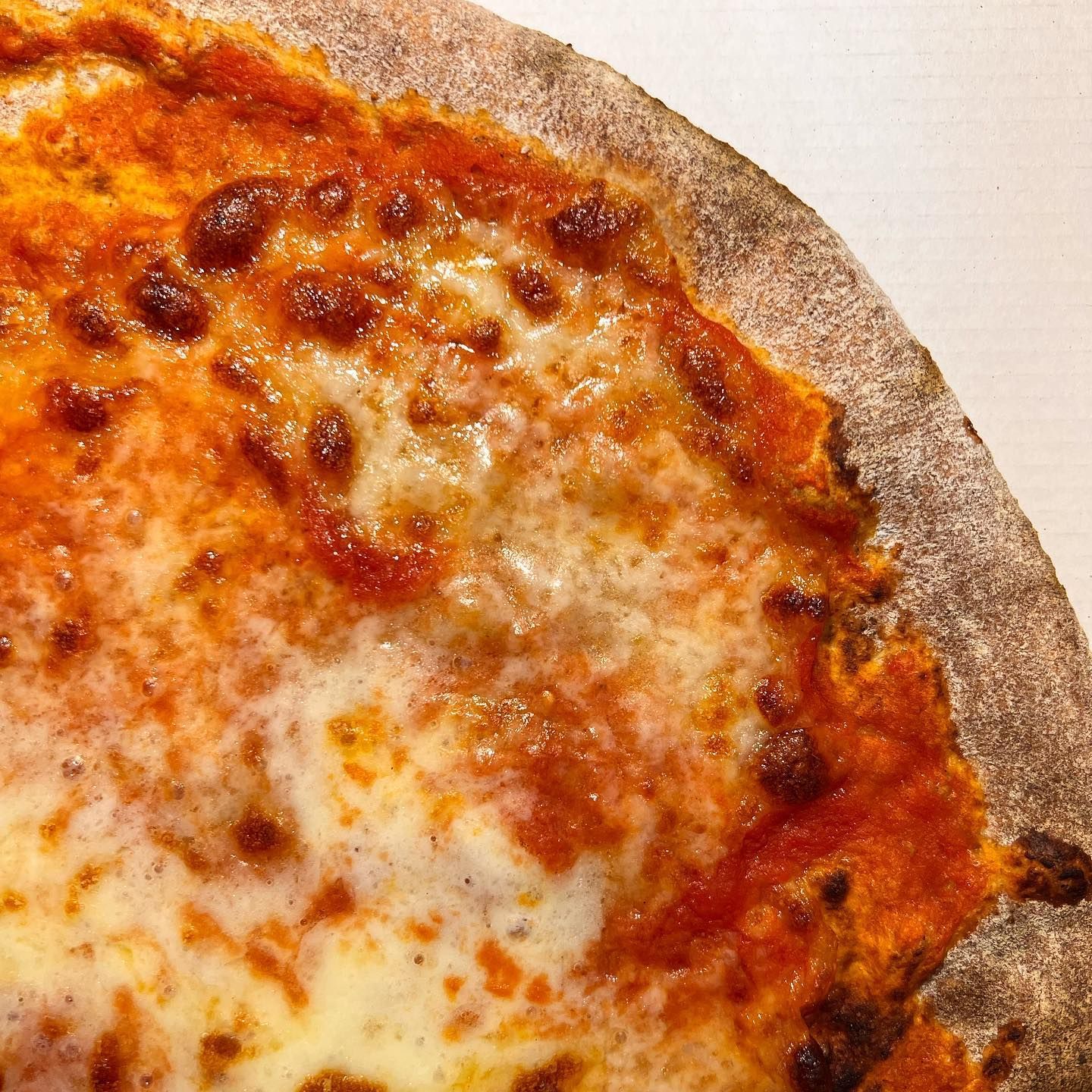 pizza margherita