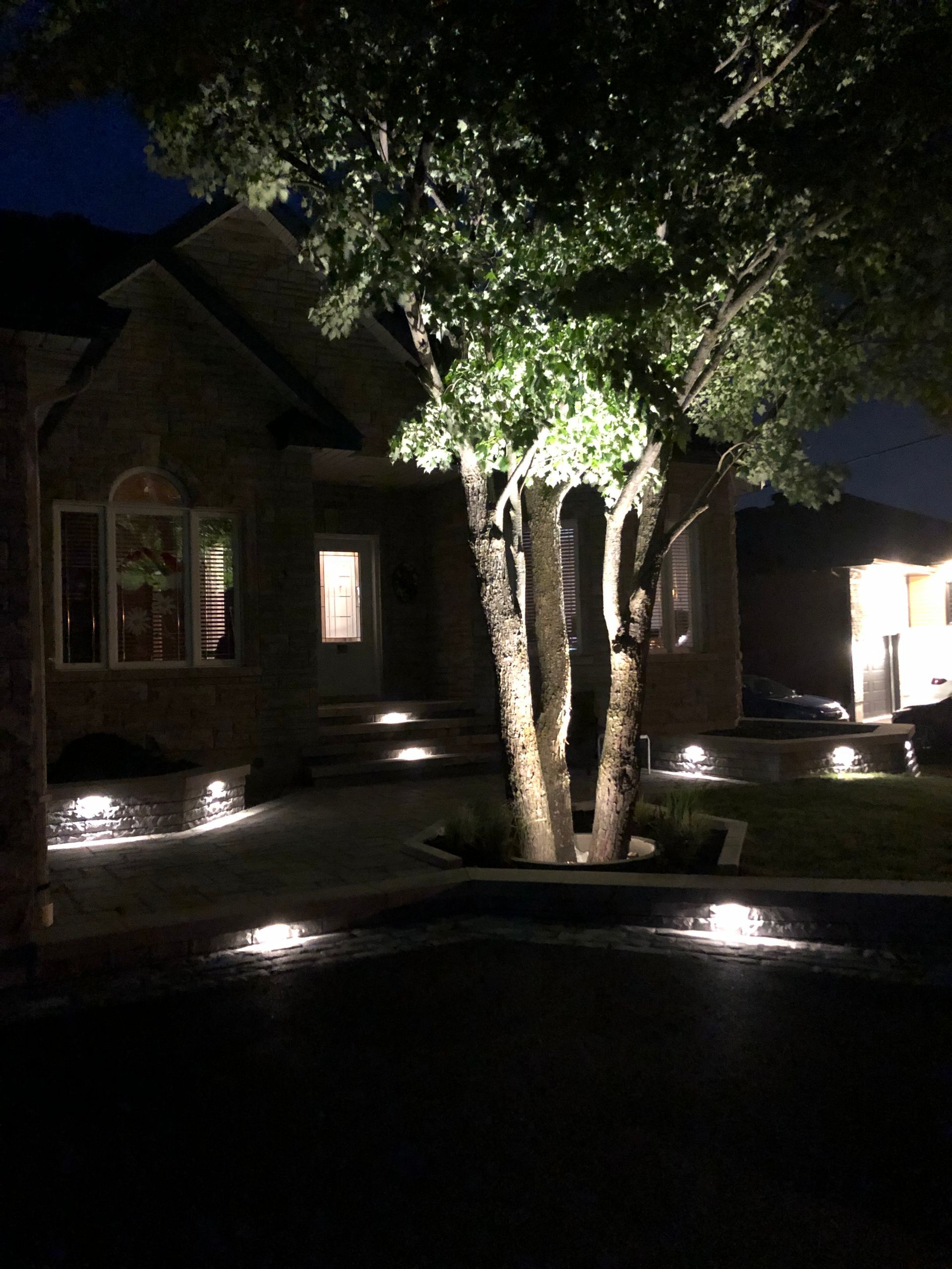 Un arbre est illuminé devant une maison la nuit.