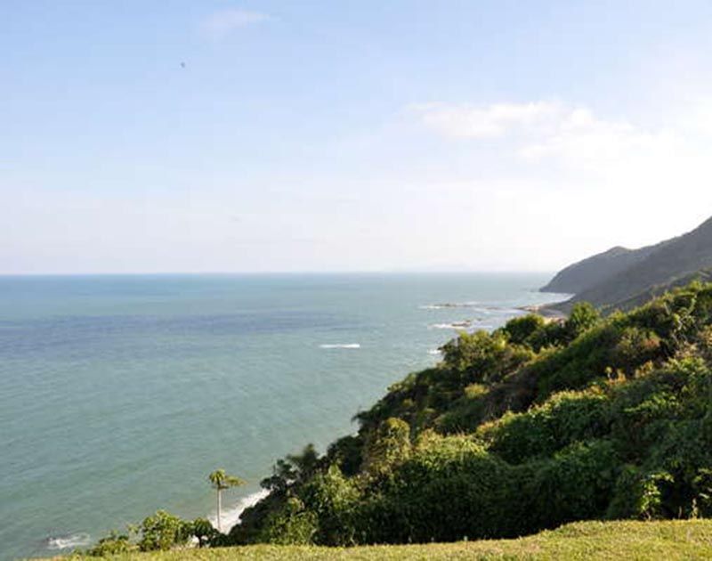 Uma vista panorâmica da costa, com vista para um penhasco exuberante e arborizado, em direção a um oceano azul e calmo sob um céu claro.