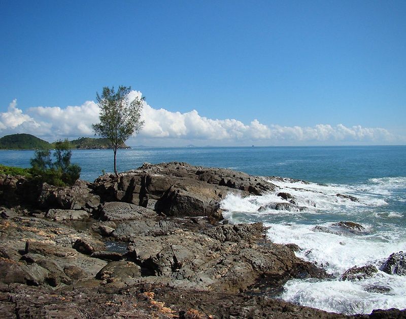 Costa rochosa com uma única árvore debruçada sobre o oceano azul sob um céu claro e parcialmente nublado.