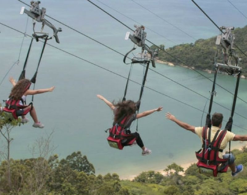 Três pessoas deslizando em uma tirolesa sobre uma floresta e o oceano, com os braços estendidos, vistas por trás.