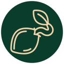 Lawn mower