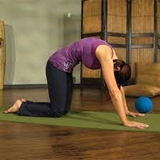 PFilates movement as a woman goes into cow position on her yoga mat
