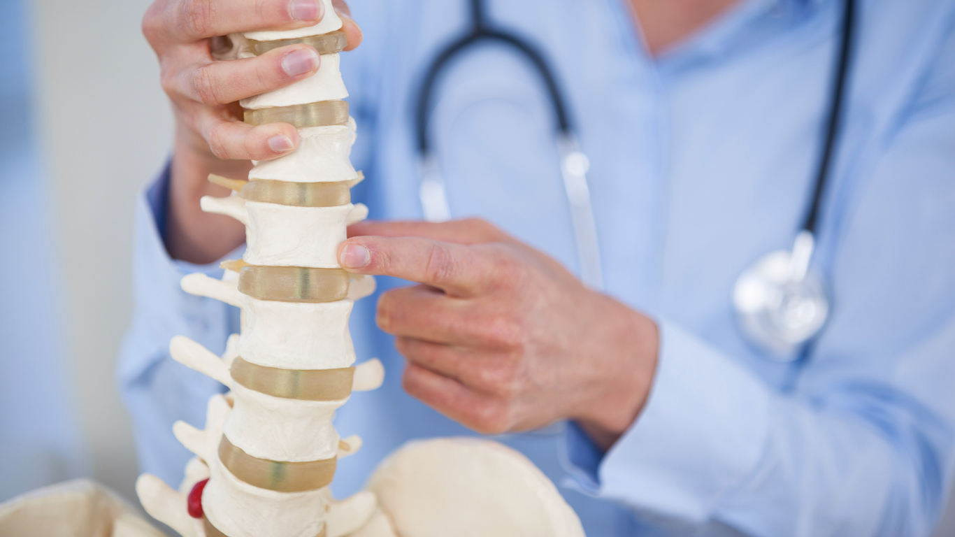 Family Chiropractic Services