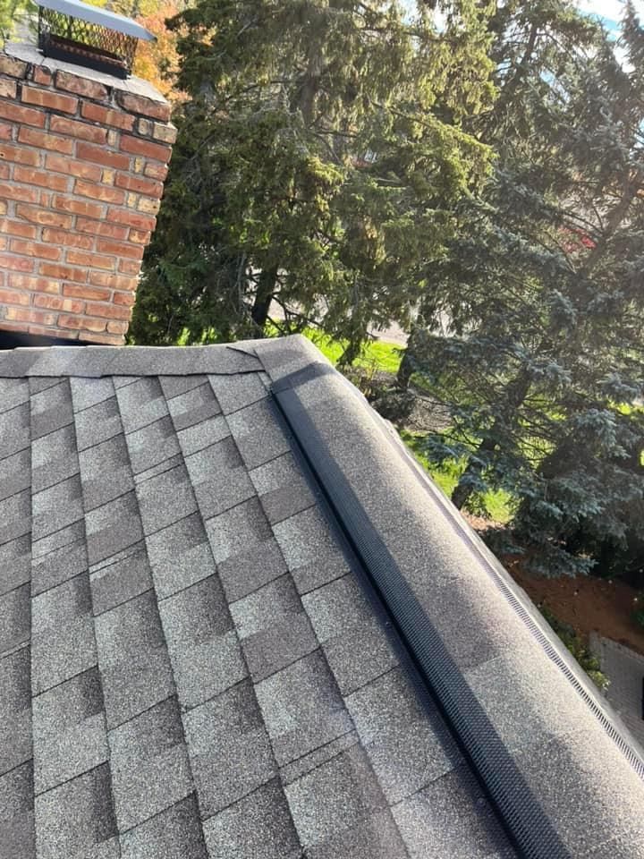 A close up of a roof with a chimney and trees in the background.