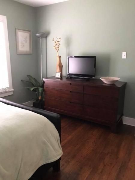 Bedroom with bed, dark wood dresser, TV, floor lamp, and plant on hardwood floor.