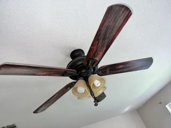 Ceiling fan with dark wood blades and two beige glass light shades on a white ceiling.