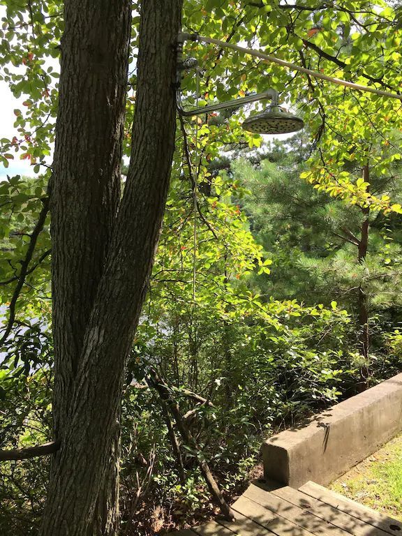 A tree with a shower head attached to it