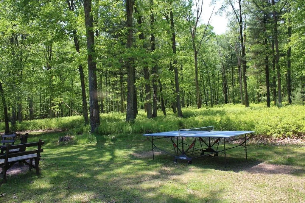 A ping pong table is sitting in the middle of a lush green forest.