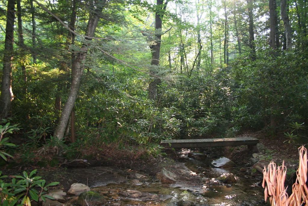 A small wooden bridge over a stream in the woods