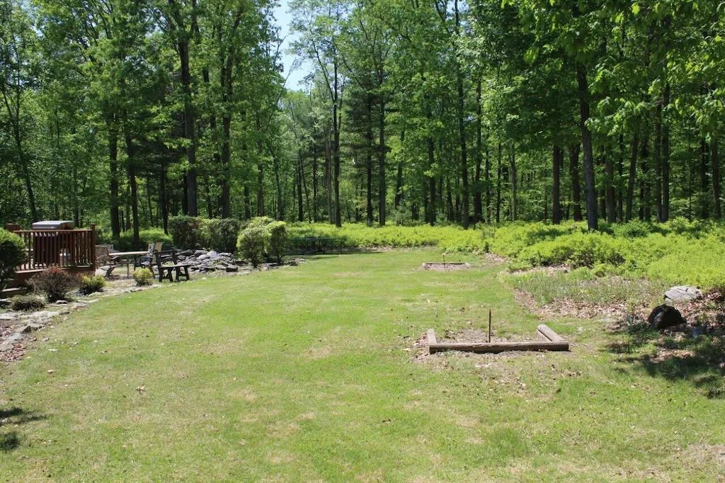 A large grassy field in the middle of a forest.