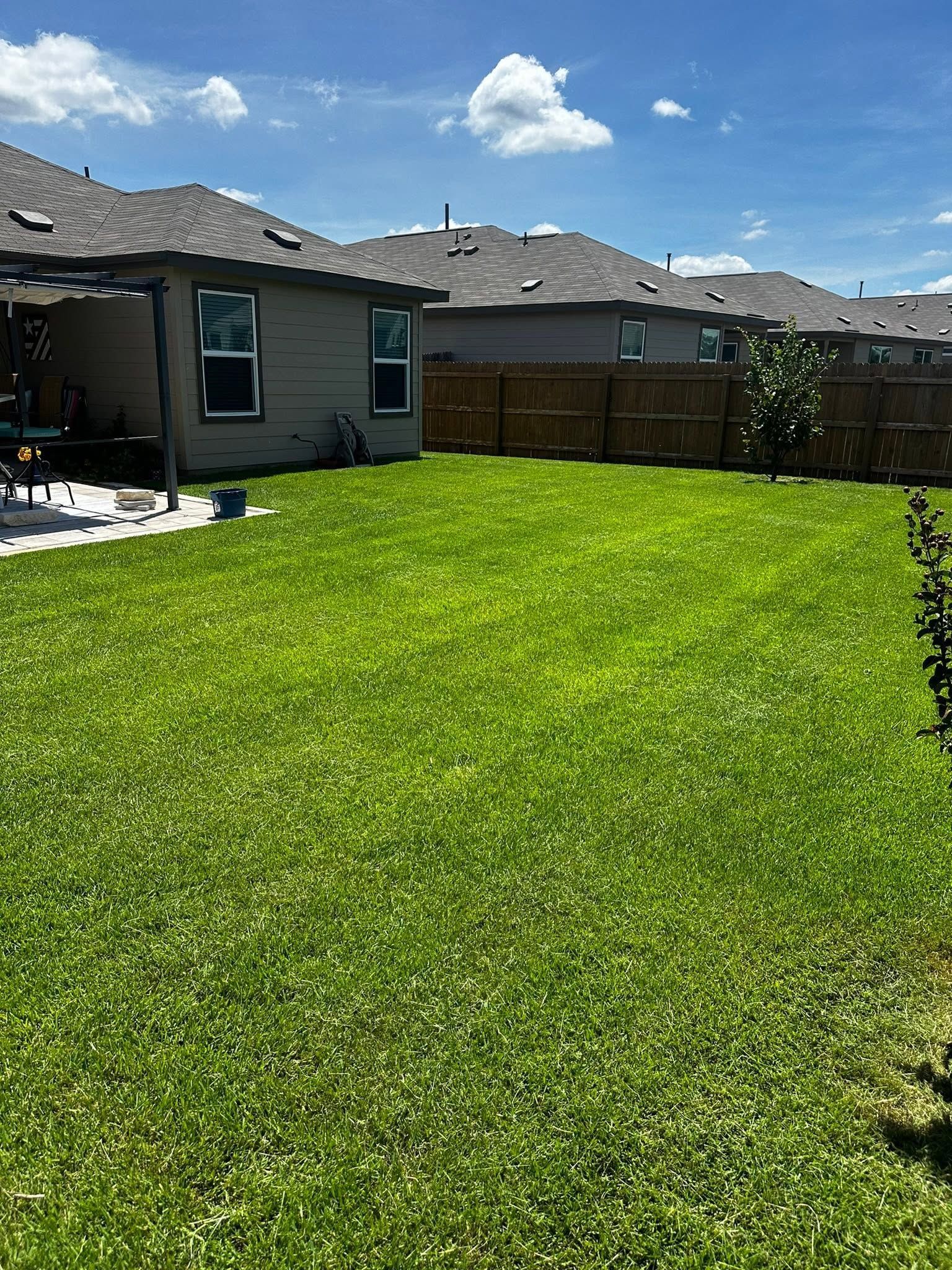 Backyard with bright green grass, a wooden fence, and a house under a blue sky.