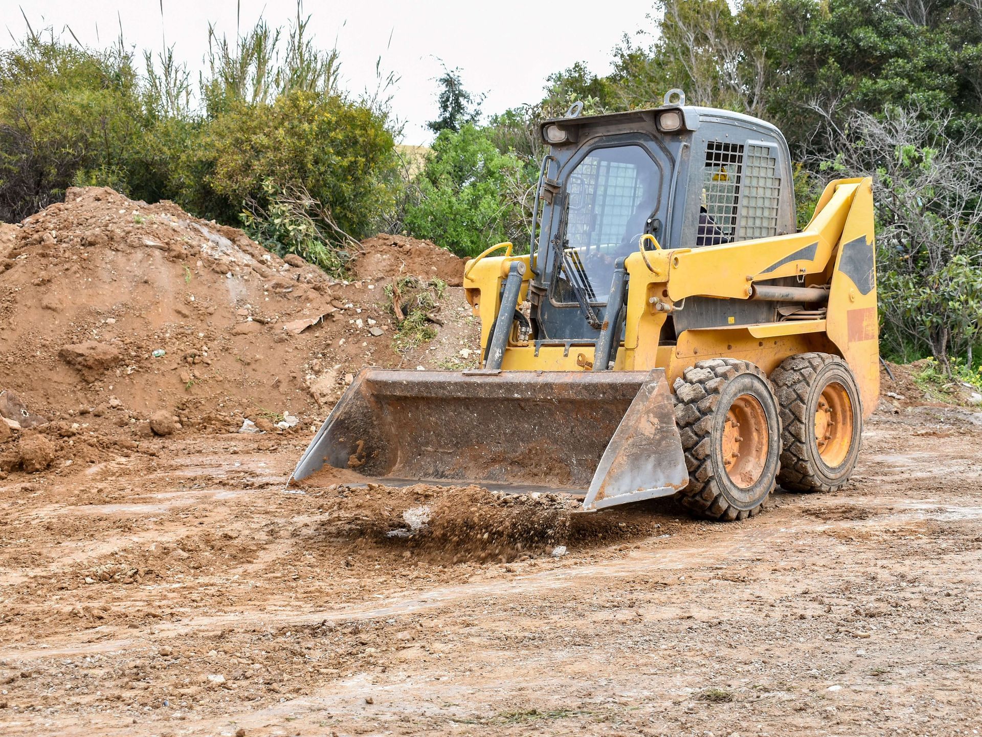 land clearing, lot clearing, richmond, va, bush hogging