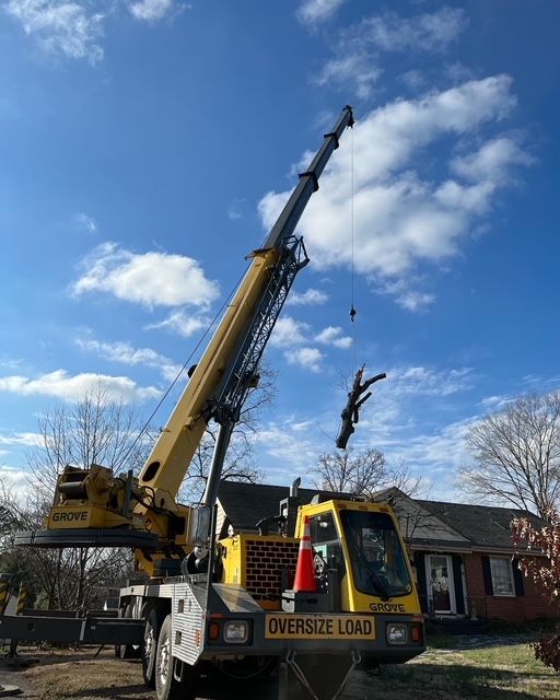 tree removal with crane, tree crane services, large tree removal with cranes