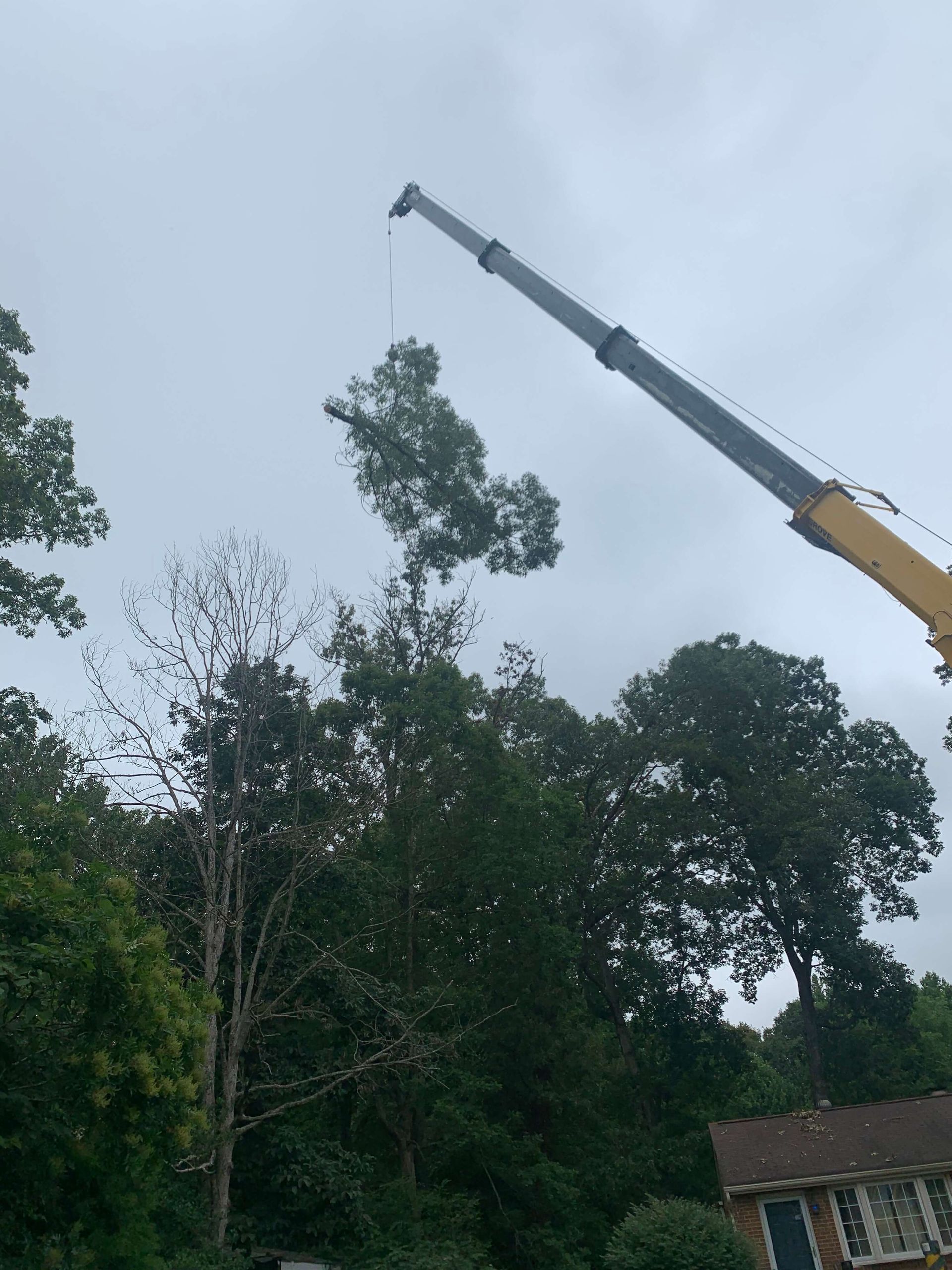 tree removal company richmond va, tree cutting, chainsaws, tree cranes, tree equipment, tree trimming, emergency storm damage cleanup