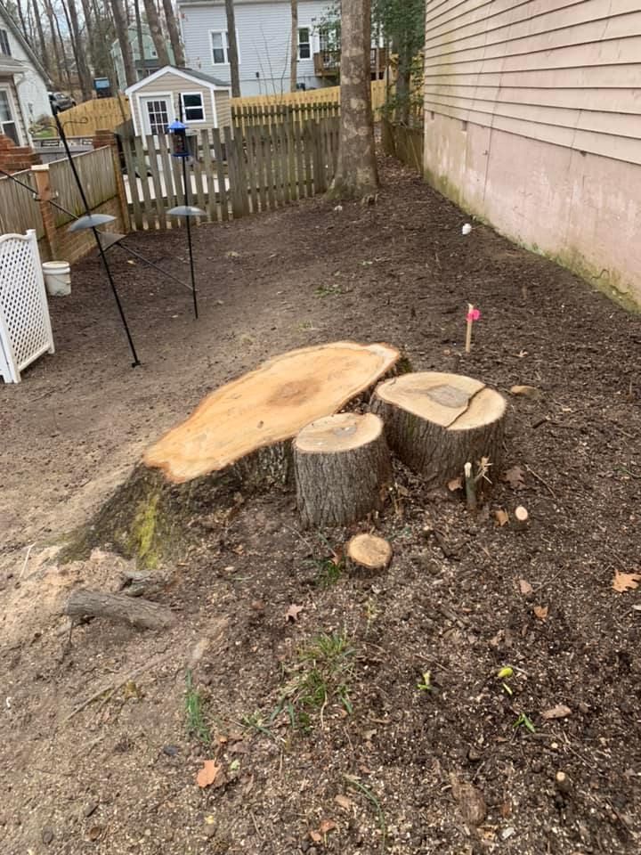 chainsaws, tree removal, tree trimming, stump grinding, stump removal midlothian