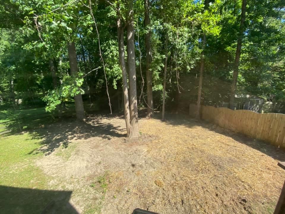 emergency tree removal company, tree trimming, tree pruning, stump grinding, stump removal, tree care specialists, land clearing company, turner's tree service