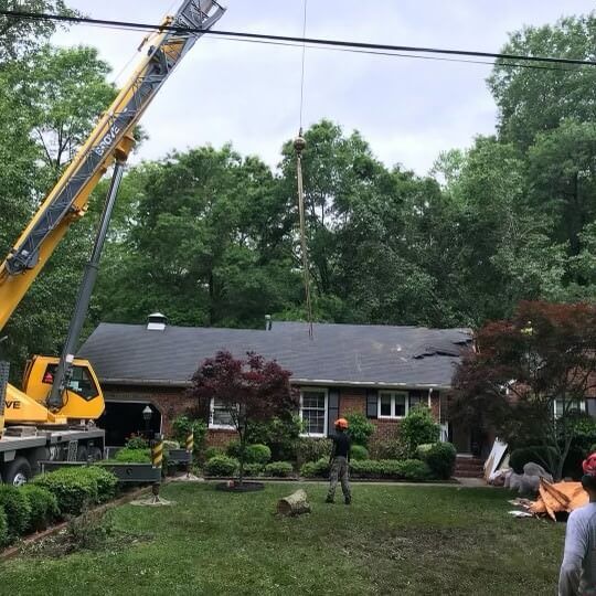 uprooted trees, emergency tree service, tree removal company midlothian va, turners tree service