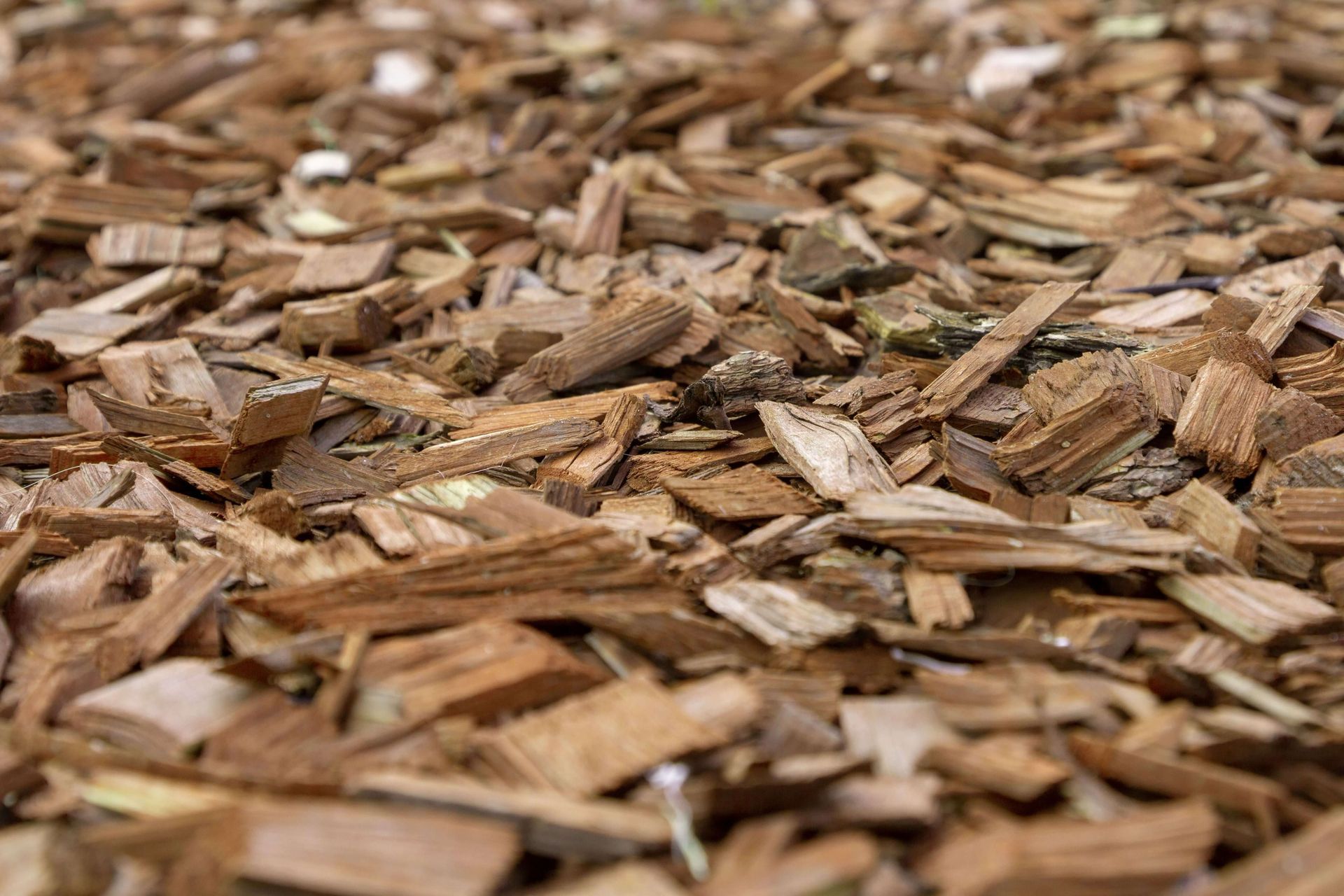 wood chips, brush chipping, wood chipping service, midlothian tree removal