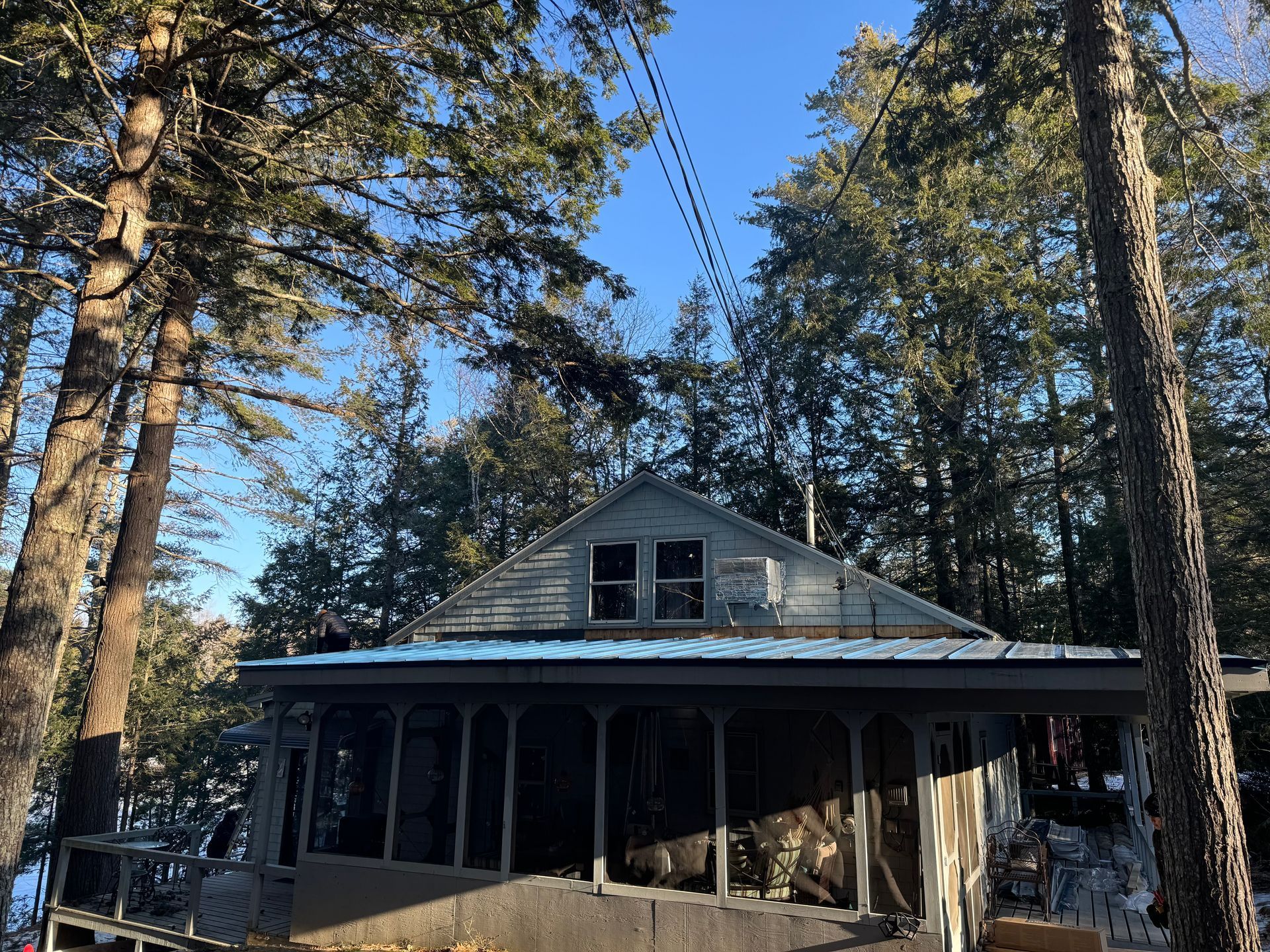 A small house with a blue roof is surrounded by trees.