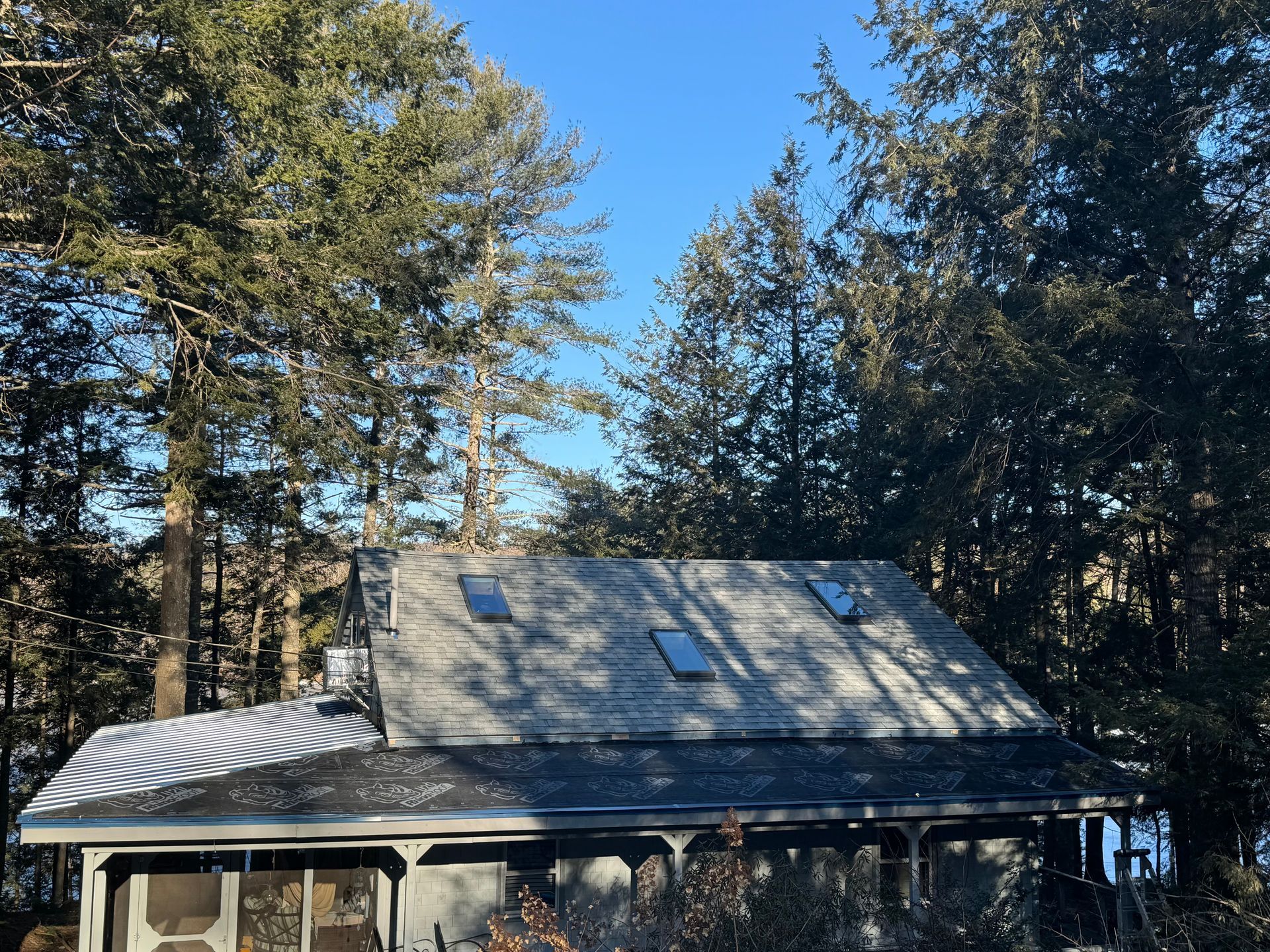 A small house is surrounded by trees on a sunny day