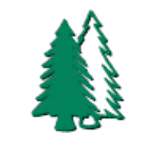 Two green christmas trees on a white background.