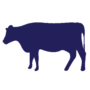 Cow icon for O'Donnell Park Barging Ltd in Picton NZ