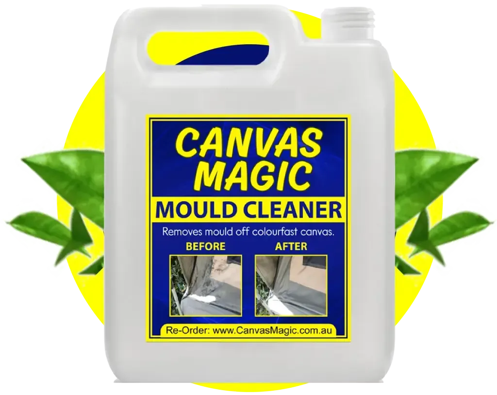Canvas Magic