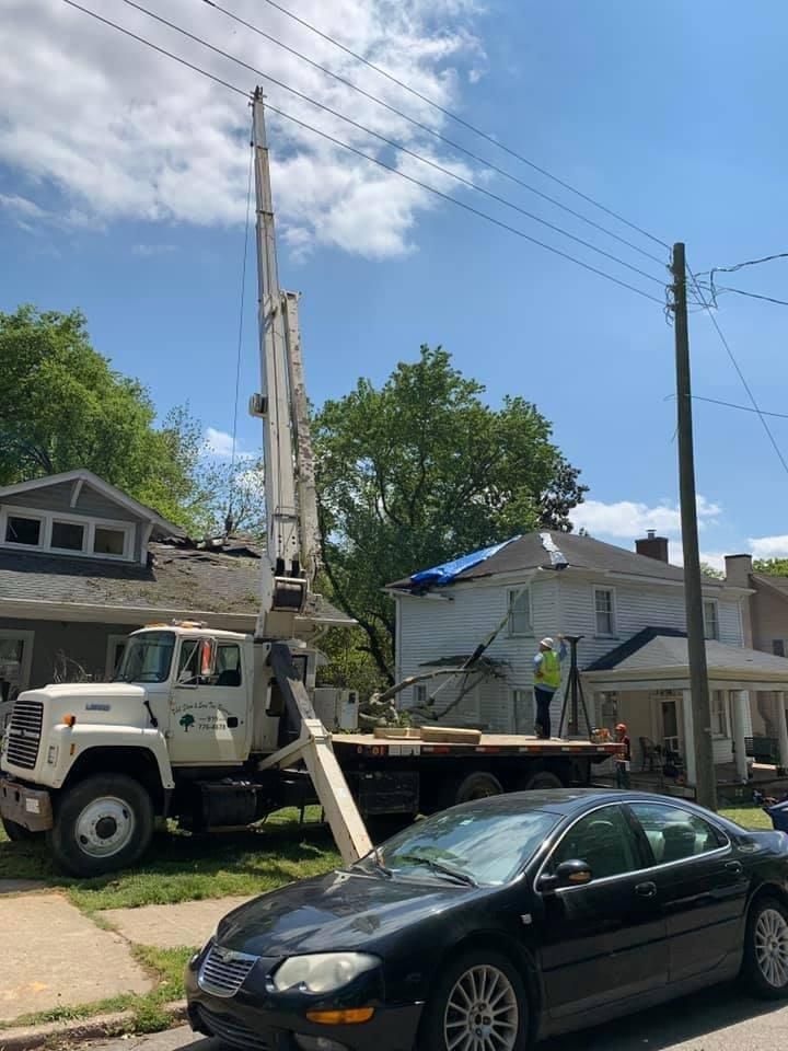 Black Car is Parked in Front of a Construction Truck — Sanford, NC — Phil Stone & Sons Tree Removal Black Car is Parked in Front of a Construction Truck — Sanford, NC — Phil Stone & Sons Tree Removal