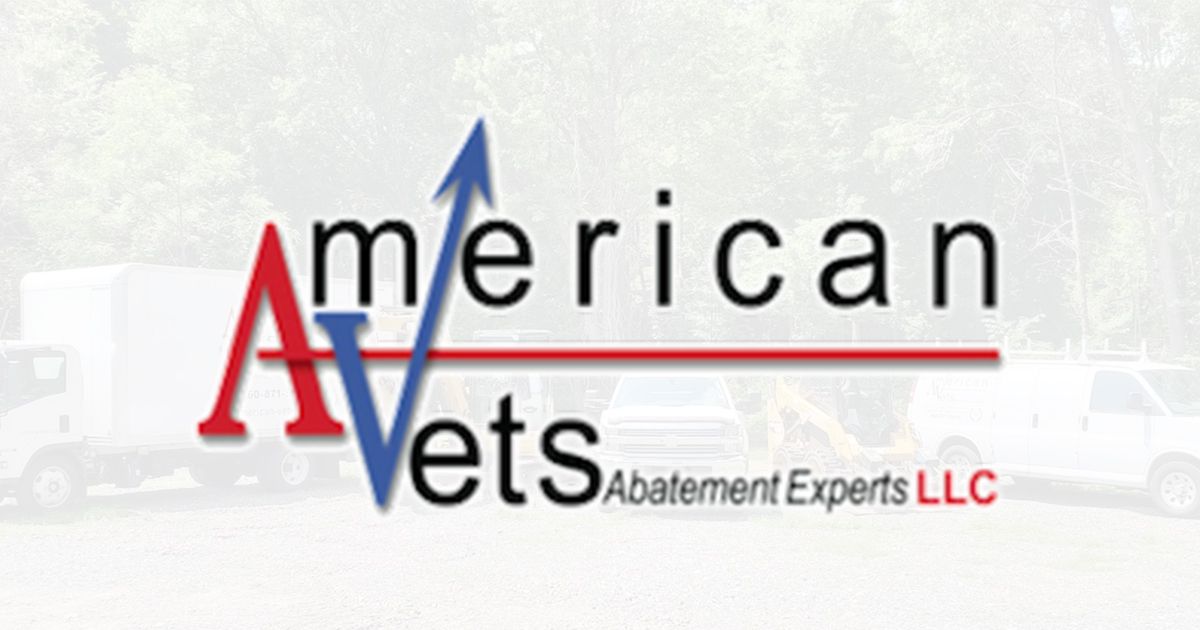 American Vets Abatement Experts Llc