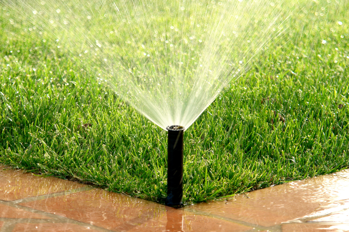 Black sprinkler watering a green lawn near a concrete patio edge during irrigation