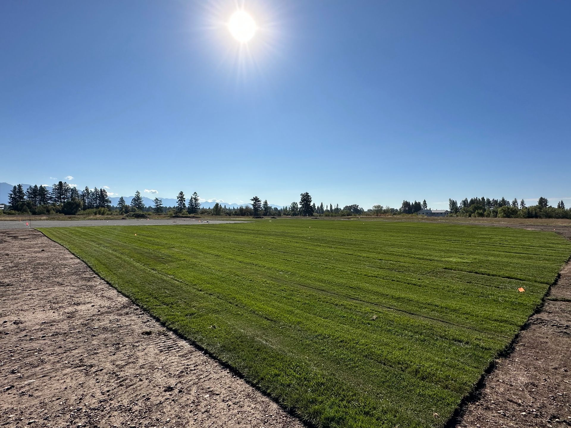 Little league baseball near me