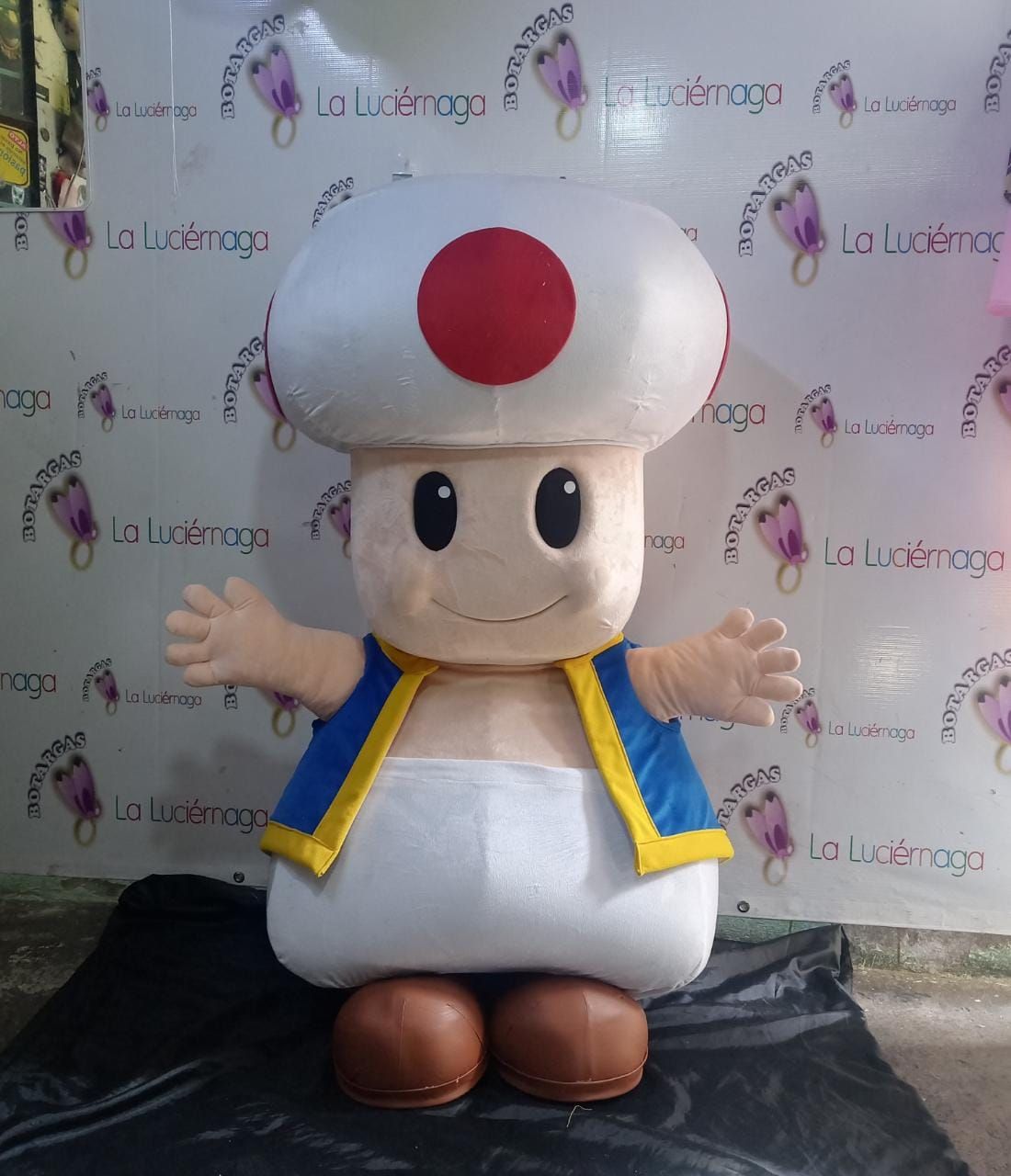 BOTARGAS LA LUCIÉRNAGA -