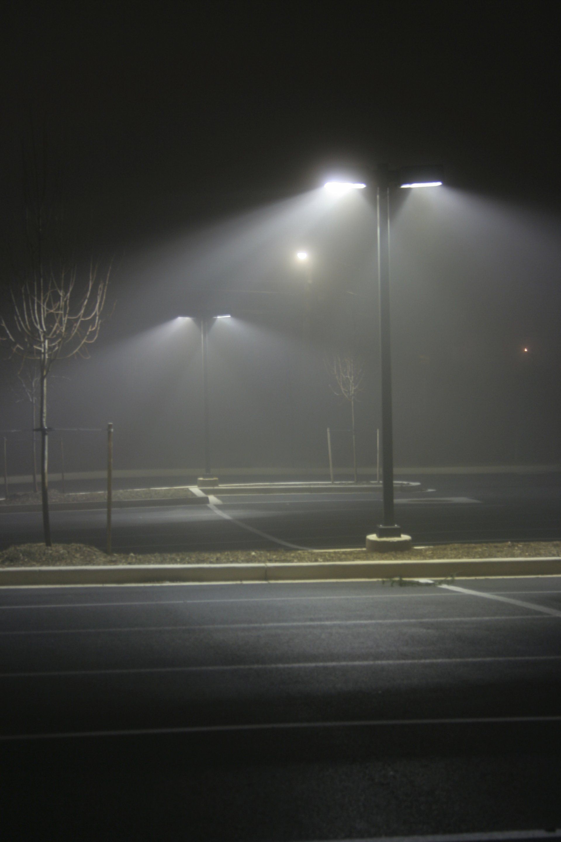 Foggy night: empty parking lot illuminated by streetlights, bare trees.