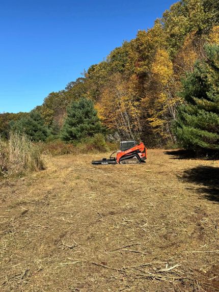 Orange compact excavator in a field clearing land near a fall forest under a blue sky.
