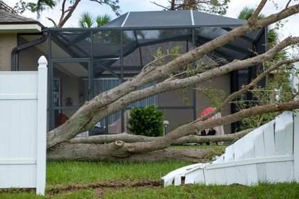 Fallen tree limb over a white fence, leaning against a screened porch.