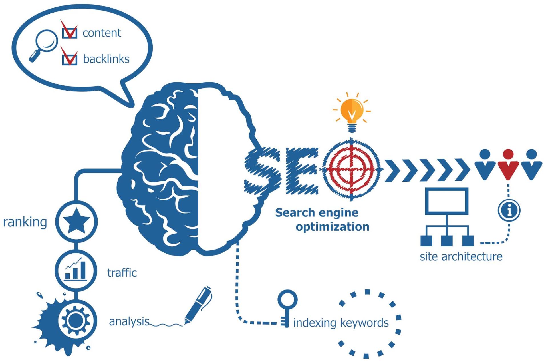 A diagram of a brain with the word seo on it.