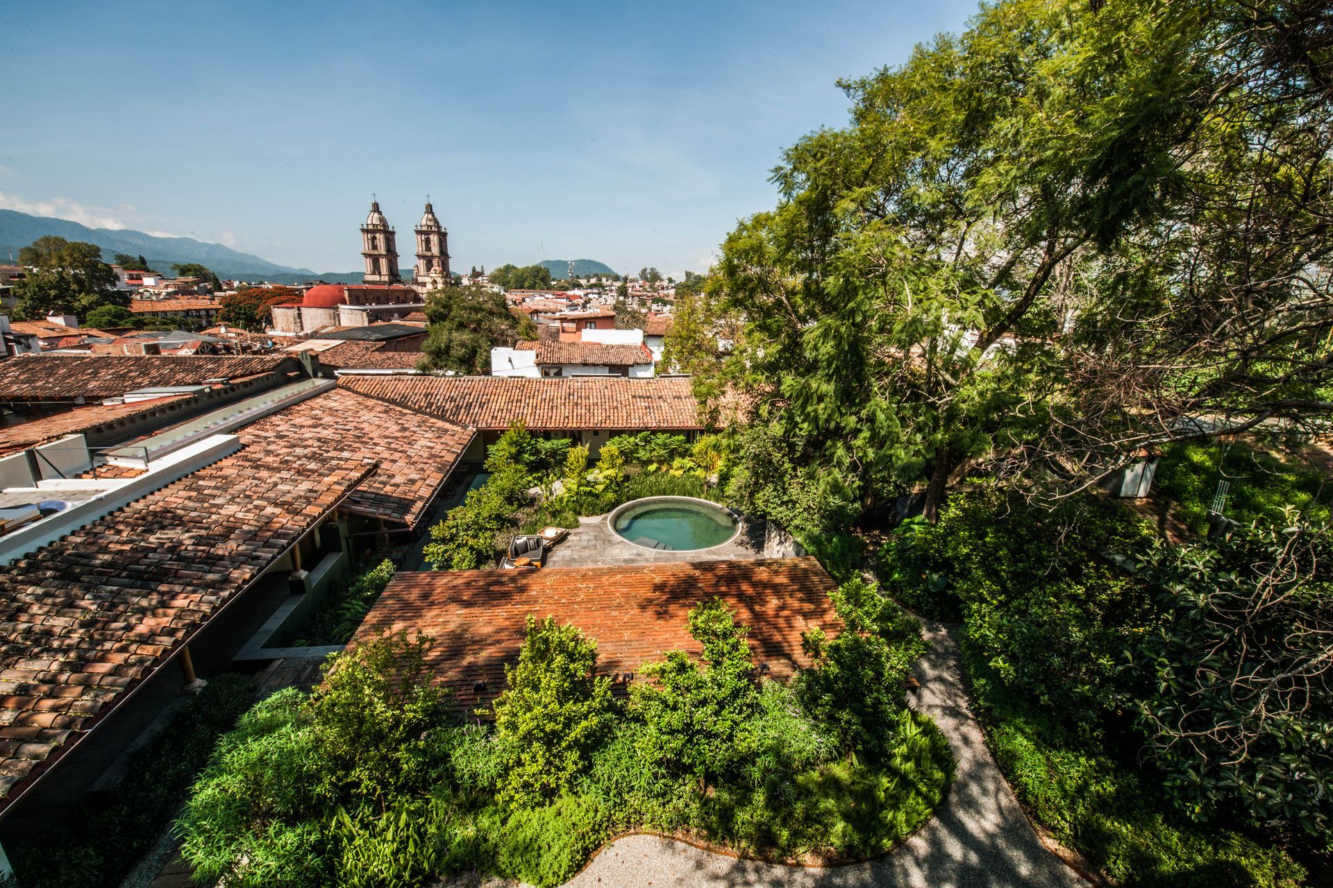 Tejados de tejas rojas y el campanario de una iglesia en un pueblo soleado, enmarcados por un gran árbol verde.