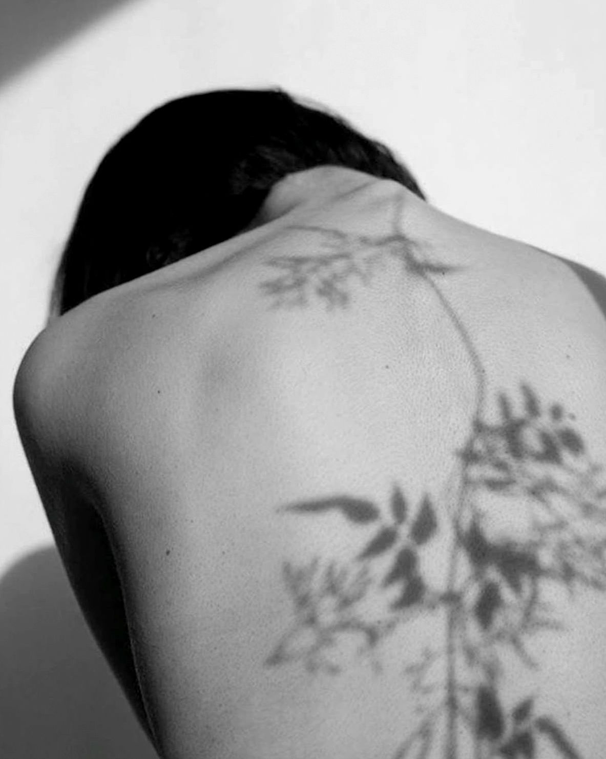 Fotografía en blanco y negro de la espalda desnuda de una persona con sombras de hojas sobre la piel.