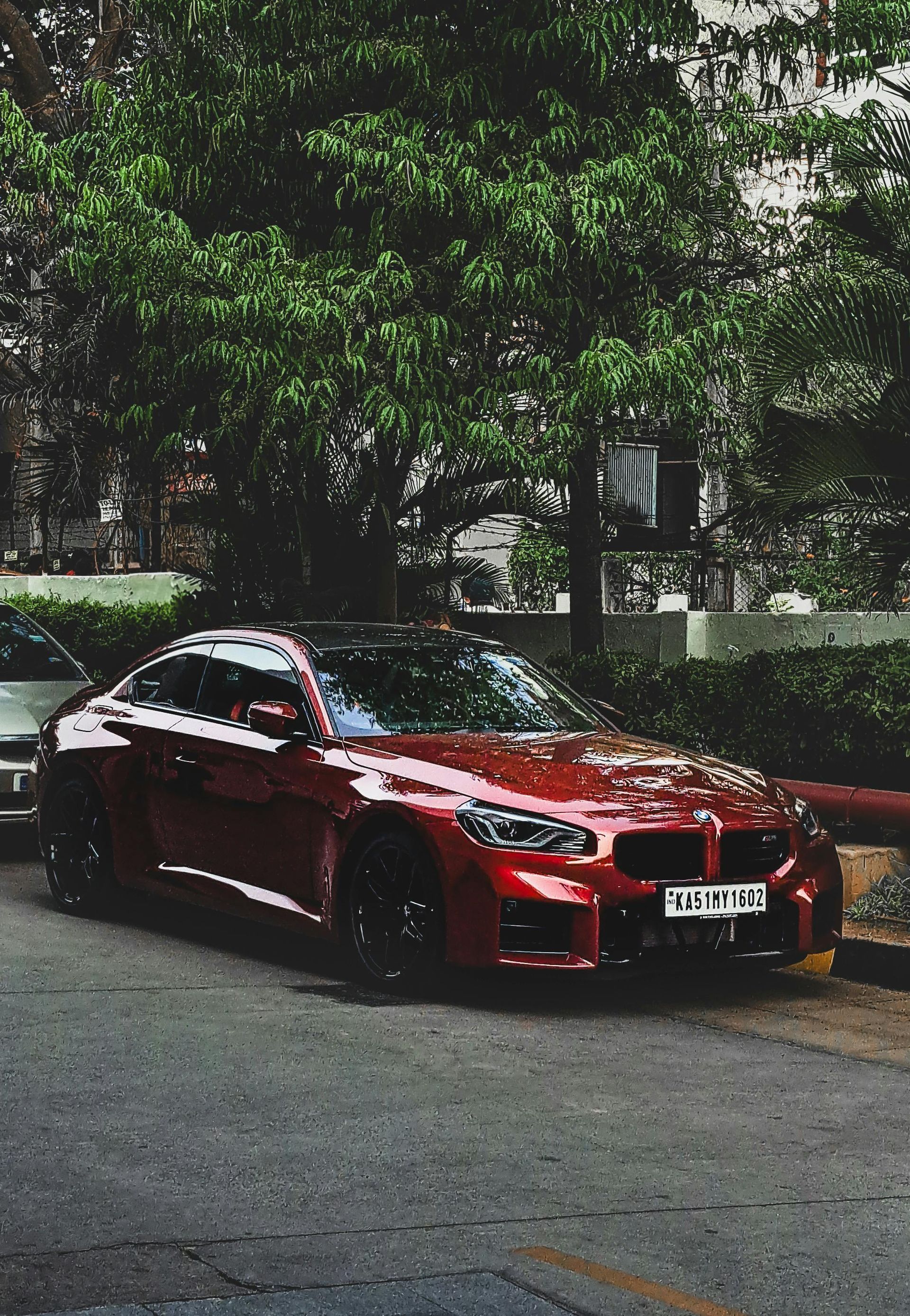 Red BMW coupe parked on a city street, black wheels, dark tinted windows, trees in background.