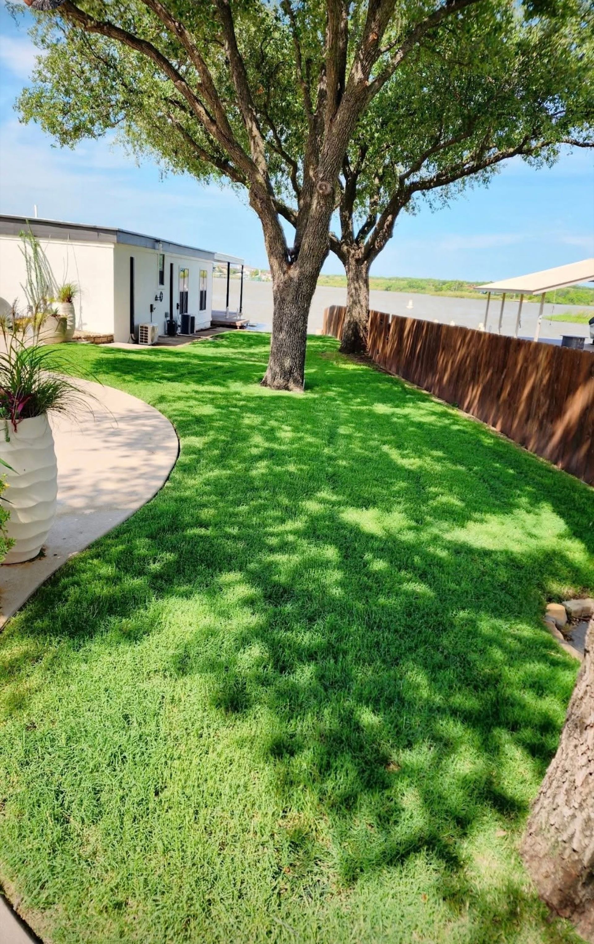 Lush green lawn with large trees, path, and white building under blue sky.