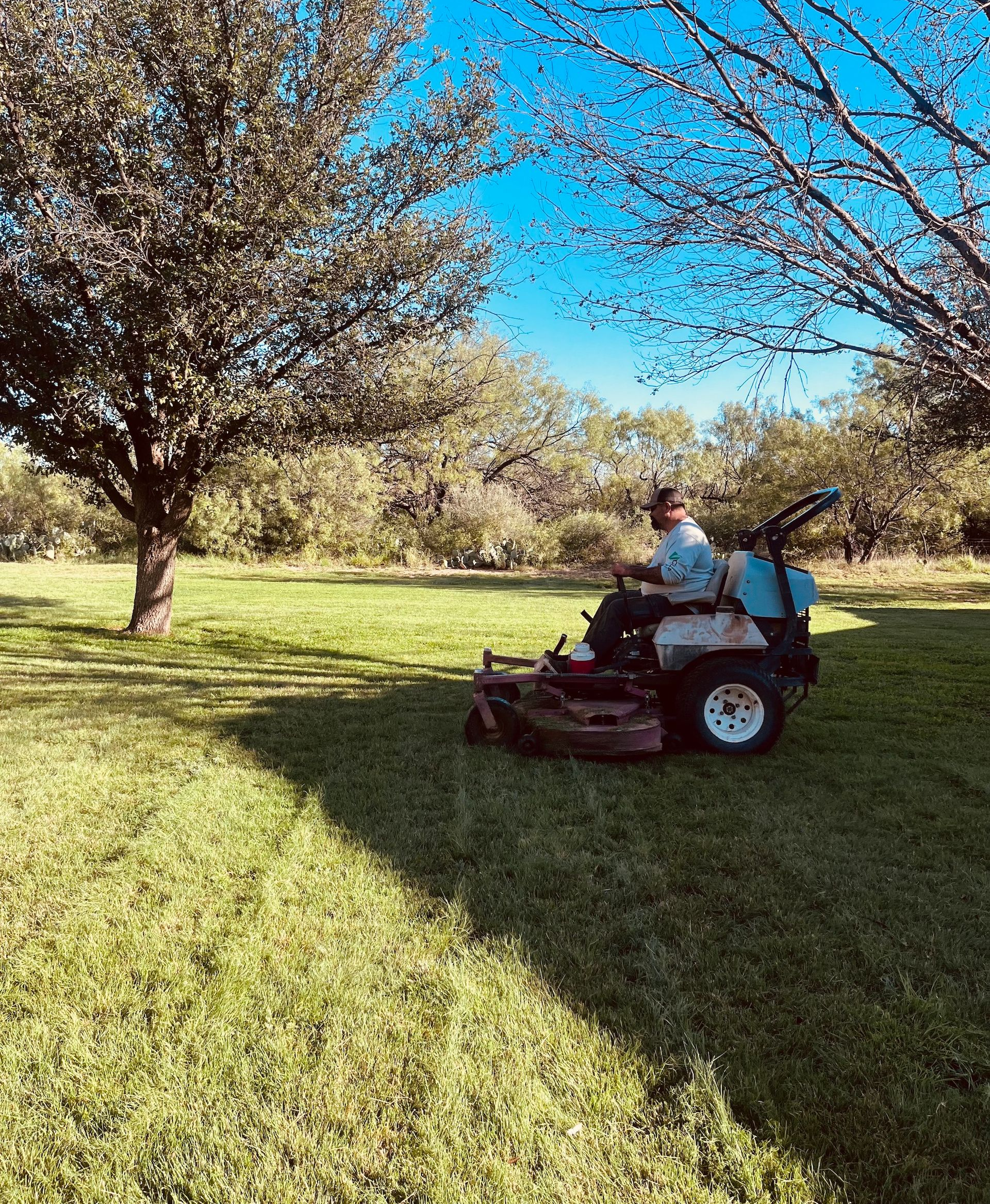 Person mowing grass on a riding mower in a sunny yard with trees.