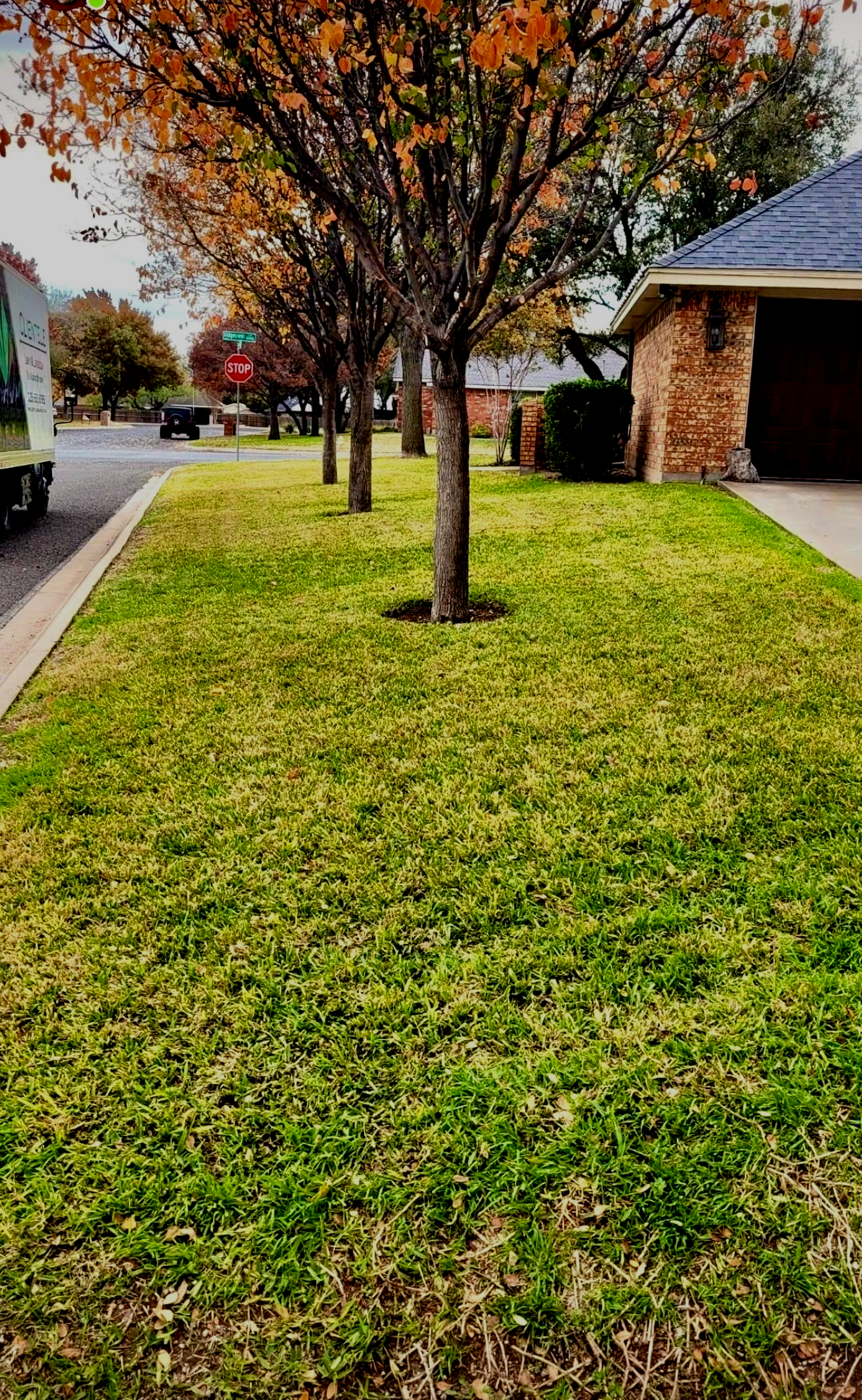 Green grass and trees with orange leaves in a residential area. A stop sign is visible in the distance.