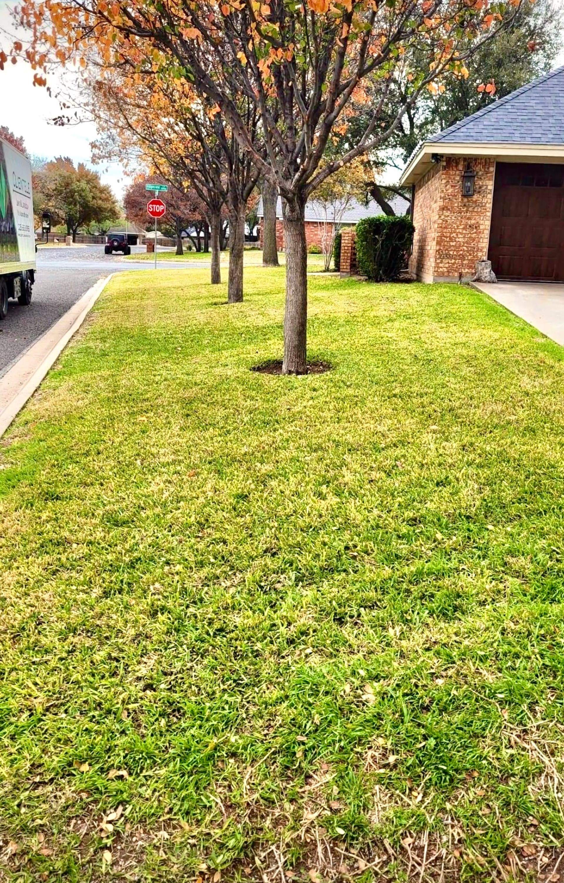Lush green lawn with trees, a brick house, and road, autumn foliage, neighborhood.