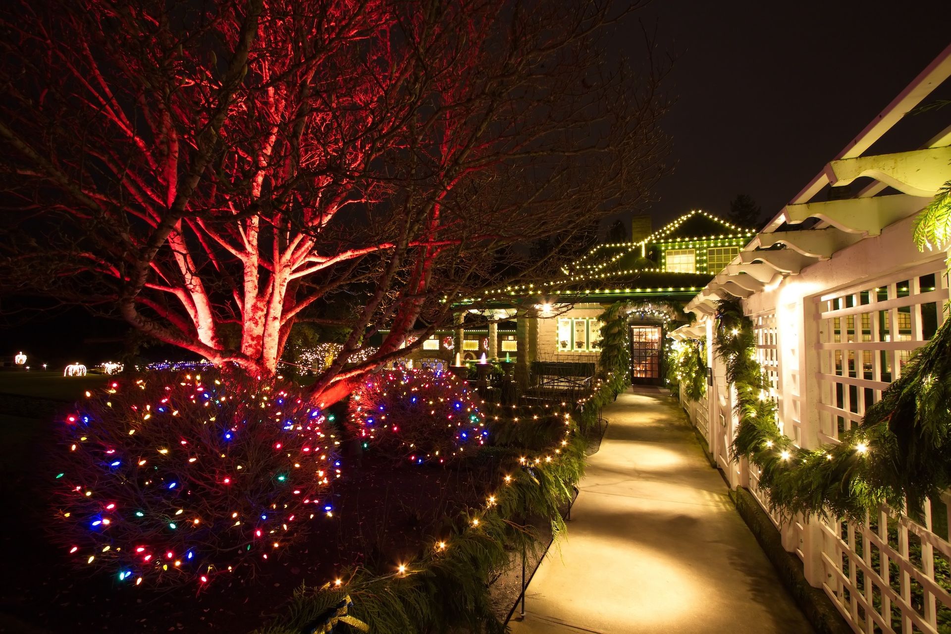 House decorated with Christmas lights; red lit tree, bushes, and pathway with garland.