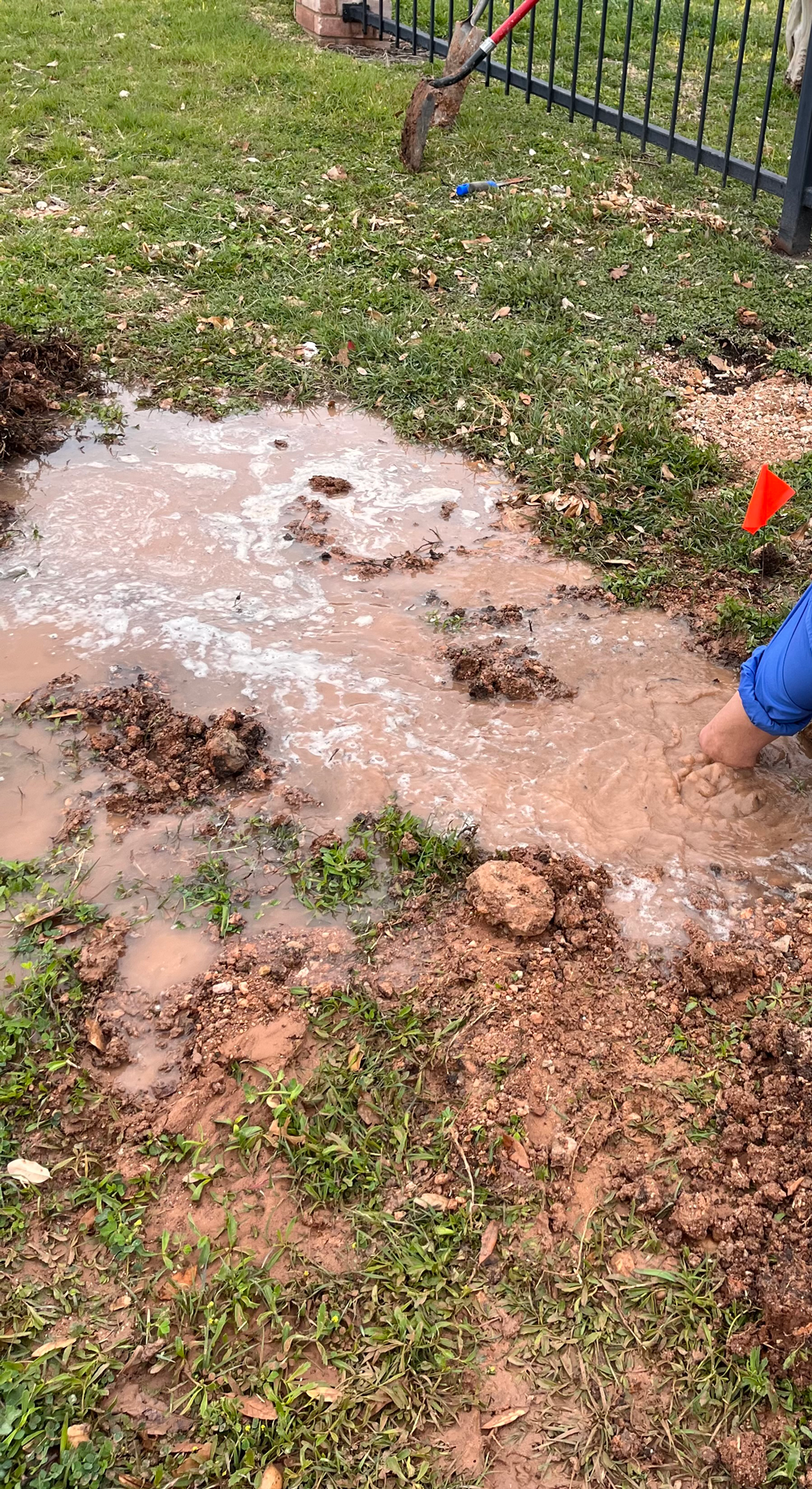 A muddy puddle in a yard, with footprints, and a person's arm touching the water.
