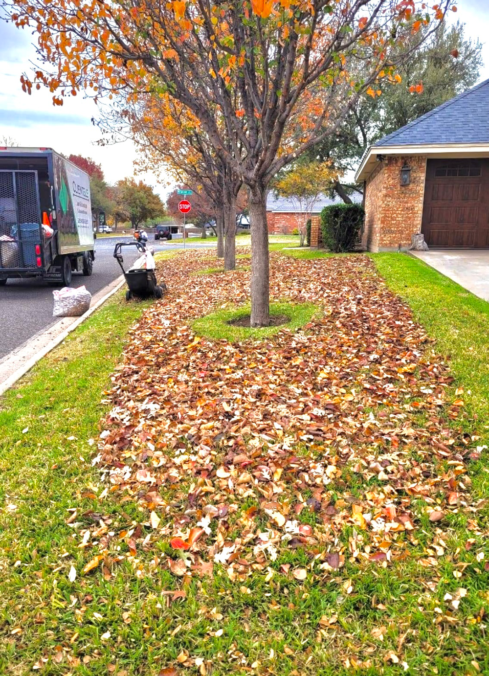 Fallen leaves in a yard being collected by a worker and a garbage truck.
