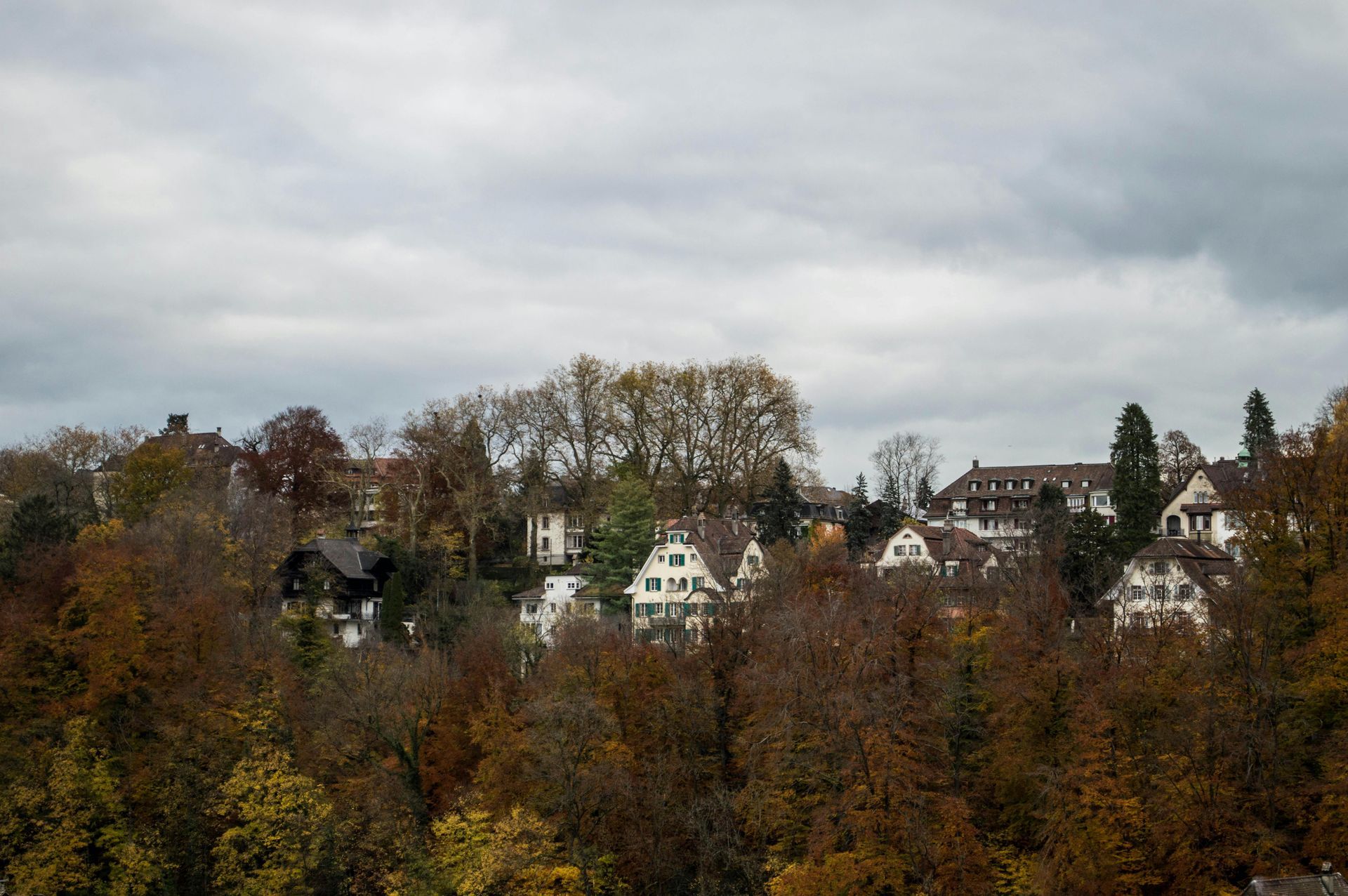 A residential area with trees and houses in the background on a cloudy day.