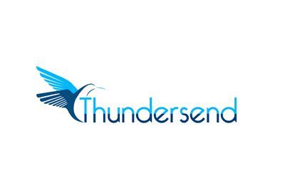 Logo Thundersend designé par l'agence VERSUS Communication