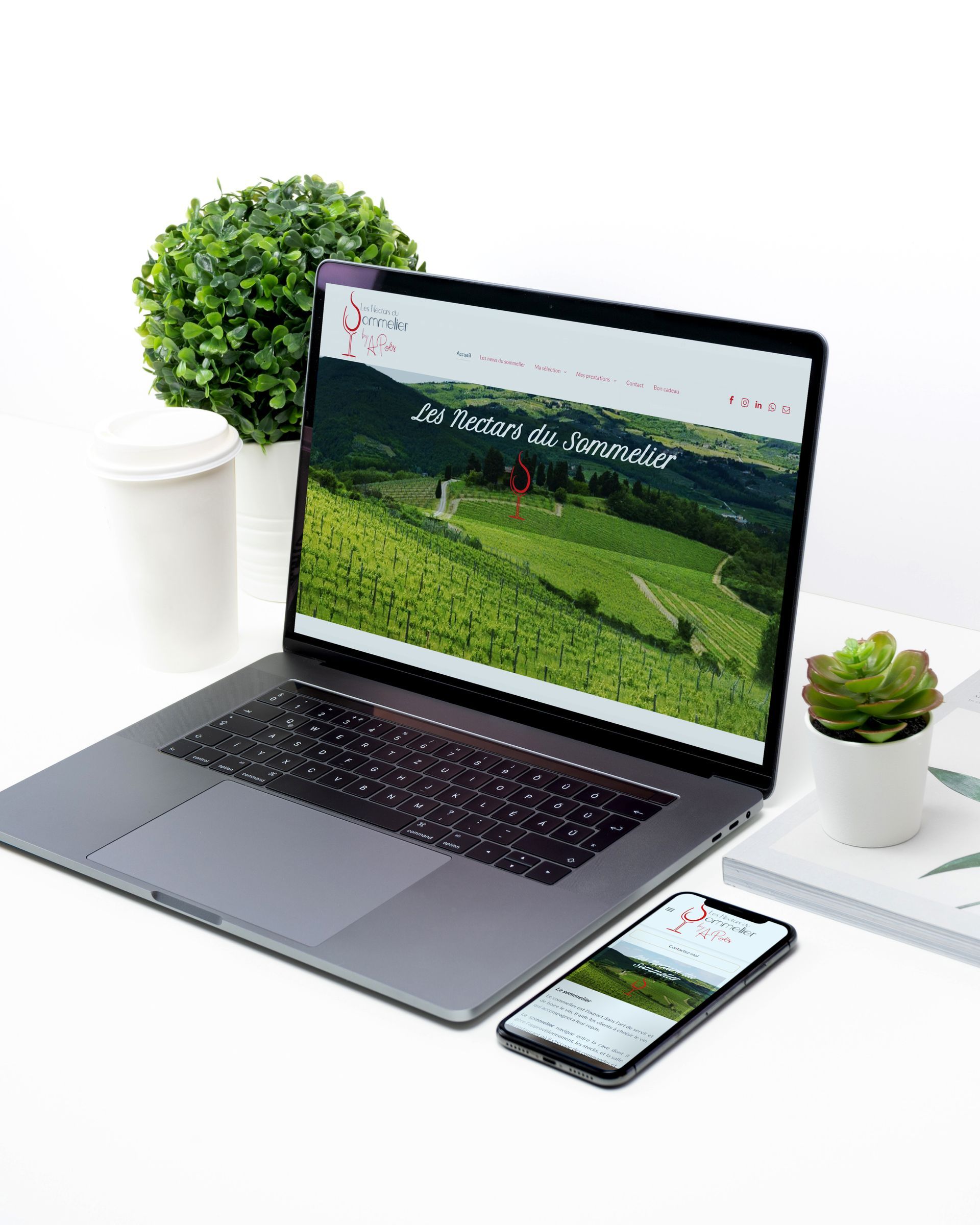 site internet créé par VERSUS Communication - les nectars du sommelier